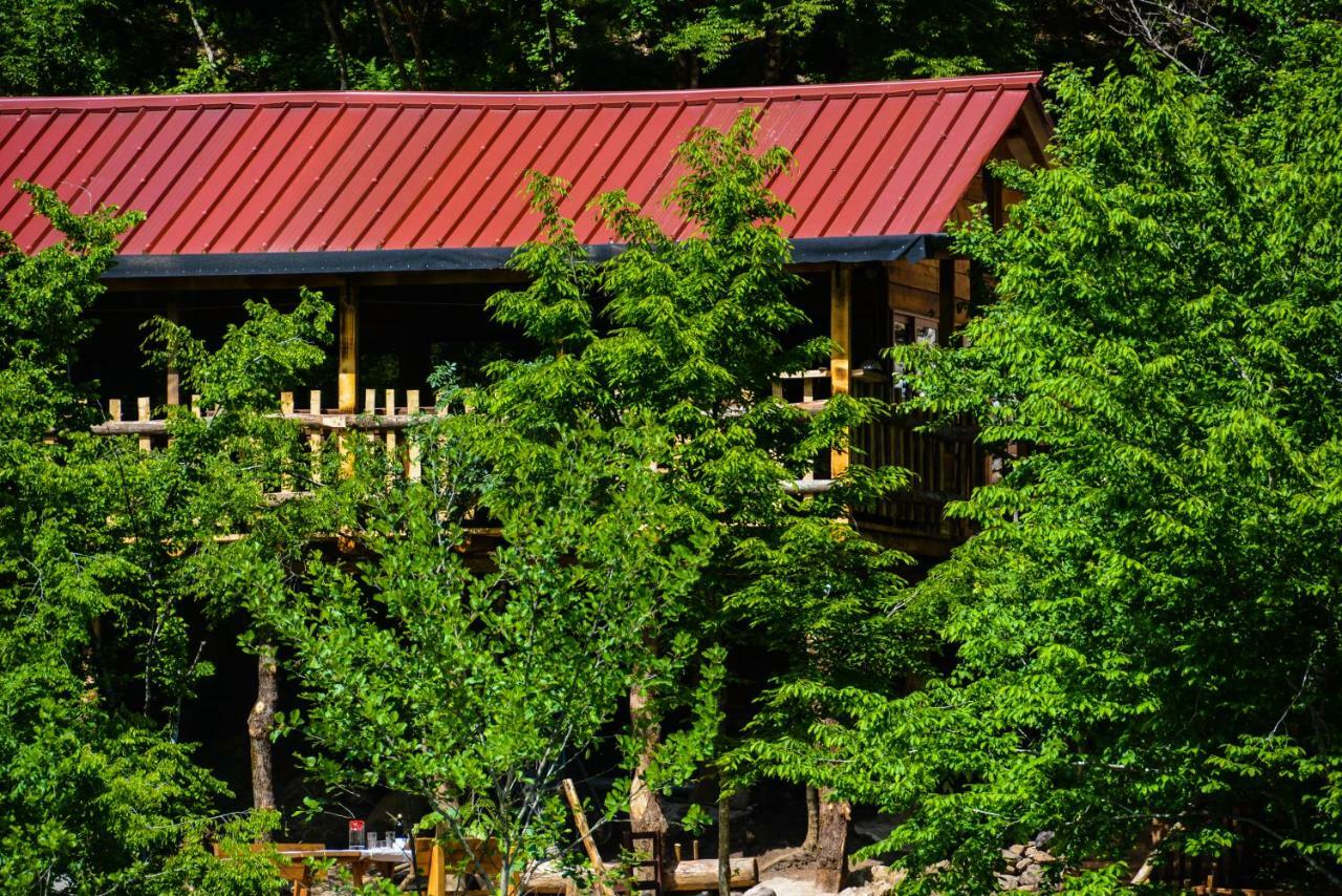 Hotel Eagles Land à Moll' e Shoshit Extérieur photo